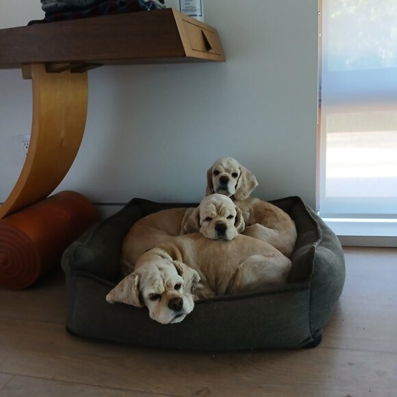 Meet your Posher, Kristine - Picture 2 of 2